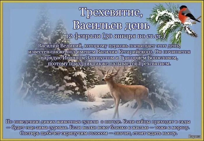 Красивые картинки Трехсвятие, Васильев день