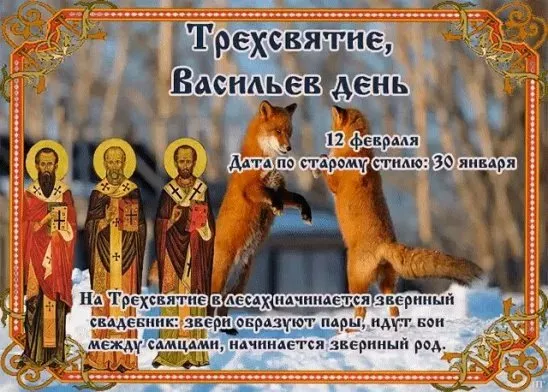 Красивые картинки Трехсвятие, Васильев день