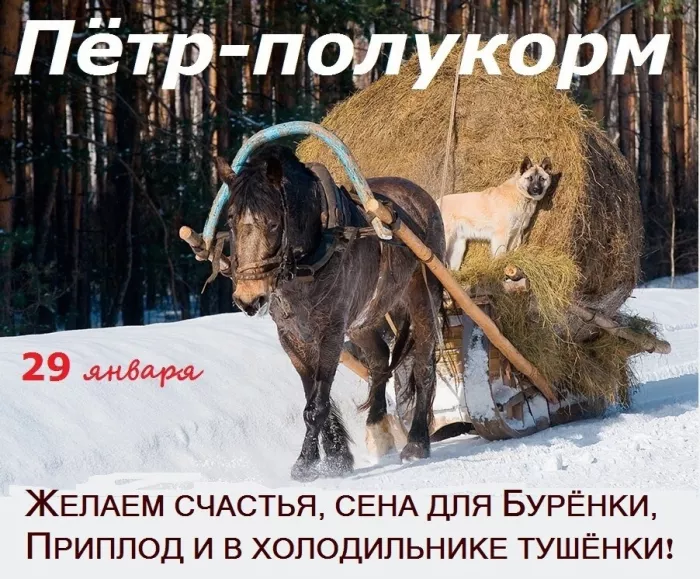 Петр-полукорм - картинки с надписями и приметами